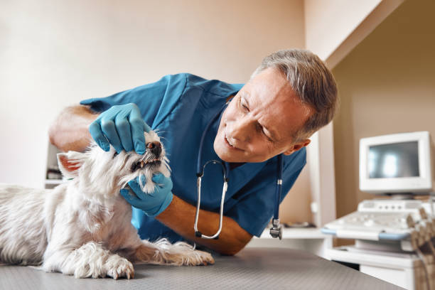 Best Emergency Dental Clinic in OK